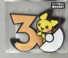 ポケモン 30周年 ピカチュウ マグネット 中国限定 - メルカリ