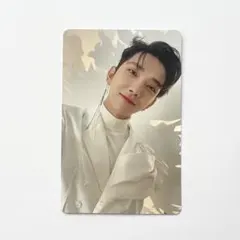 SEVENTEEN JOSHUA あいのちから　トレカ