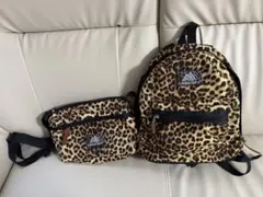 【廃盤】GREGORY グレゴリー レオパード EASY DAYリュック　ポーチ