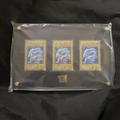 遊戯王　25th 青眼の白龍 シクブル　海馬セット　ブルーアイズホワイトドラゴン