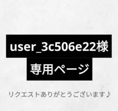 user_3c506e22様 リクエスト 2点 まとめ商品