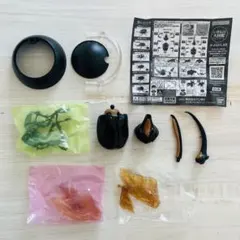 BANDAI いきもの大図鑑 かぶとむし03 ネプチューンオオカブト ガシャポン