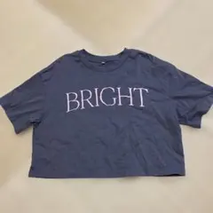 GU BRIGHT ロゴ刺繍 Tシャツ グレー Mサイズのサムネイル