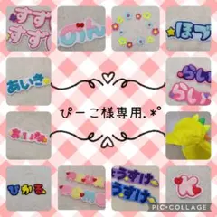 ぴーこ様専用.*゜