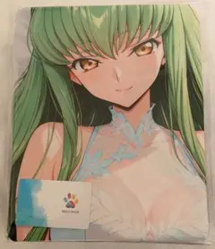 両面クッションカバー C.C.調 160×50cm 新品未開封