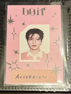 StrayKidsスンミン accordion IDフォト