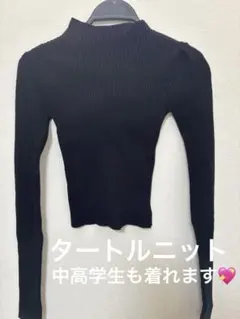 ブラックリブ編み長袖ハイネックセーター　グレイル