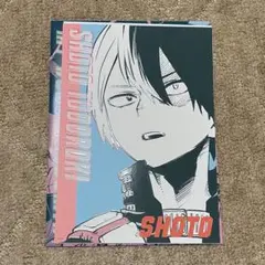 僕のヒーローアカデミア アートカードコレクション第2段 轟焦凍