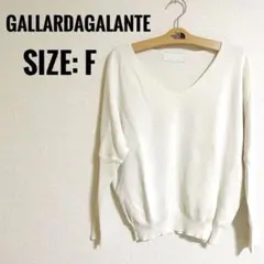 ✨【美品】✨GALLARDAGALANTE Vネックニットセーター サイズF