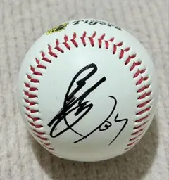 2026年最新】阪神 キャンプ サインの人気アイテム - メルカリ