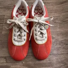 Item thumbnail for item bf21dc87-df8d-40d0-b92c-ec32ca2f2438