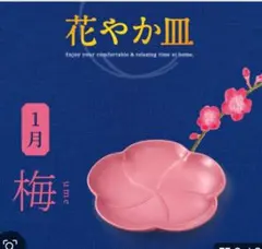 新品　金麦　花やか皿　梅　2枚セット