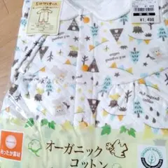 Item thumbnail for item 1d42923a-13cc-40b8-96d9-9e1e7c40c3d4