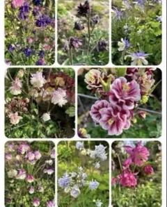 あんバタ☆プロフ必読様 リクエスト 4点 まとめ商品