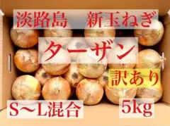 淡路島産玉ねぎ ターザン★訳あり★ S〜Lサイズ 5kg 【早い者勝ち！】のサムネイル