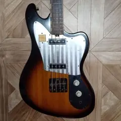 2026年最新】テスコ ギターの人気アイテム - メルカリ