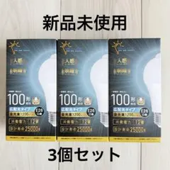 Item thumbnail for item 29826b92-0e3a-4113-80a7-6fbcbb94651e