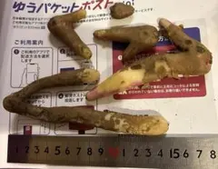 お客様 リクエスト 2点 まとめ商品