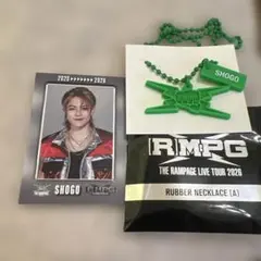 Item thumbnail for item be0365b3-5452-4f58-9b72-e13487e927c9