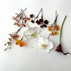 Item thumbnail for item bdc1171b-0bbe-4e1a-a2d2-d385e749ed05