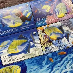 Tanya様 リクエスト 4点 まとめ商品