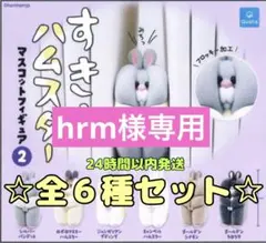 ☆hrm様専用☆