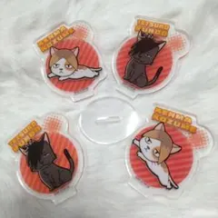 ハイキュー!! アクリミニ クロオネコ ケンマネコ