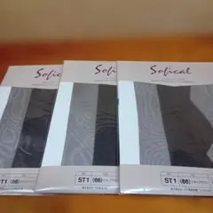 Item thumbnail for item 037a9788-ee7e-48e9-8262-54510c1b9cbb