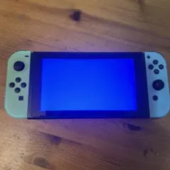 Nintendo Switch 本体 ブルースクリーン【ジャンク品】 - メルカリ