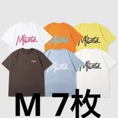 Item thumbnail for item 41f29ce5-7798-48e5-9a06-f1dc543b8fcb