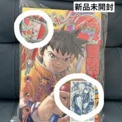 ジャンプSQ　rise D.Gray-man アニメイト　特典　Dグレ　神田⑤