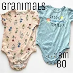 Item thumbnail for item 4e01d7f1-fa08-41b0-9d18-c0b0cf39d58d