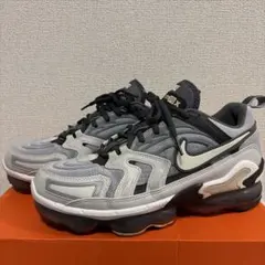 NIKE AIR VAPORMAX EVO Wolf Grey