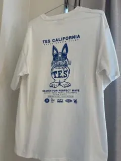 Item thumbnail for item 211e65dd-fec6-48e6-aecb-202e22656788