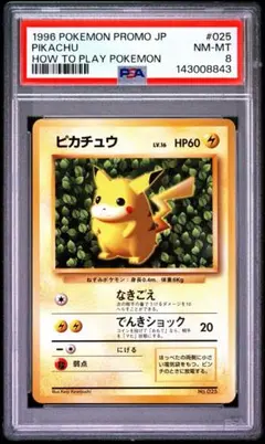 2026年最新】すぐわかるポケモンカードの遊びかた ピカチュウの人気