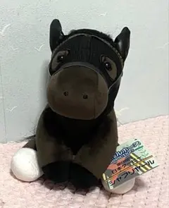 イクイノックス アイドルホース ドバイシーマクラシック 初回生産限定