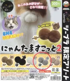 ふくふくにゃんこ サバ太 チャチャ丸 おすわりぬいぐるみ - メルカリ