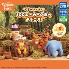 222.くまのプーさん 100エーカーの森へようこそ！4点セット