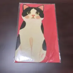Jetoy 猫型 メッセージカード 二つ折り 韓国　ハチワレ　クロネコ