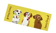 Saucy Dog タオルのサムネイル