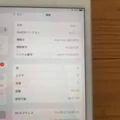 iPad mini5 Wi-Fiモデル　64GB　箱とUSBケーブル付き