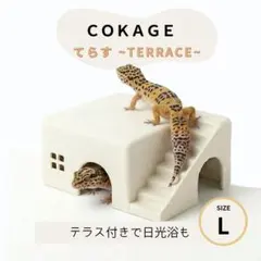 【COKAGE爬虫類シェルター てらす L】アイボリー レオパ ニシアフのサムネイル