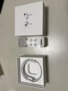 即購入可！Apple AirPods Pro 第1世代