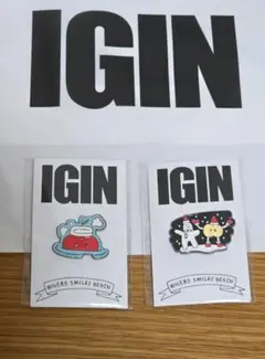 BTS JIN IGIN ポップアップ　ピンバッジ 2点