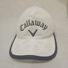 Item thumbnail for item 2fdf03a4-b9d3-4403-8e2e-eeaf5668005e