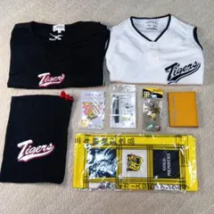 Item thumbnail for item e72a7c22-8afa-4d80-8b5a-73b0dacfd3cd