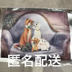 ディズニーストア シークレットポケットティッシュケース おしゃれキャット