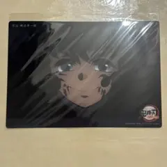 鬼滅の刃 時透無一郎 霞柱 WEBSHOPくじ ビッグクリアカード 39