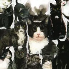 Item thumbnail for item 3ca36f3d-d03a-4158-aeeb-71eac6538793