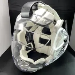 Item thumbnail for item 1b0634aa-d5e7-403e-b717-1ea4f7986795